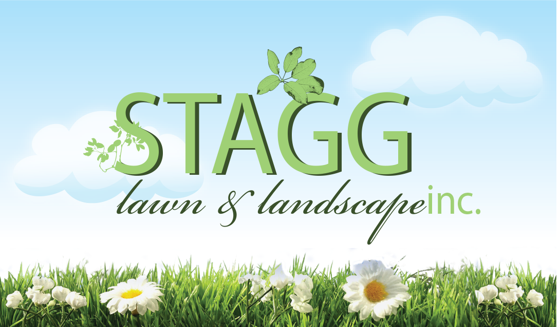 Logo for Stagg, Inc.